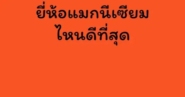 ยี่ห้อแมกนีเซียมไหนดีที่สุด