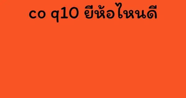 co q10 ยี่ห้อไหนดี