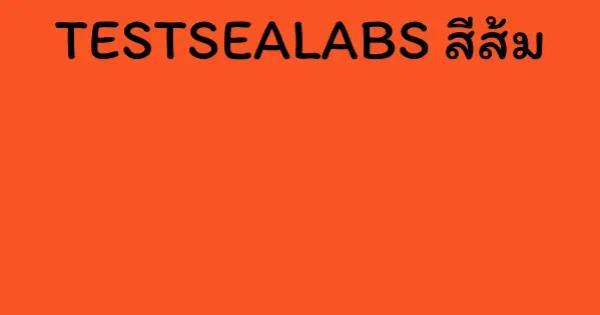 TESTSEALABS สีส้ม