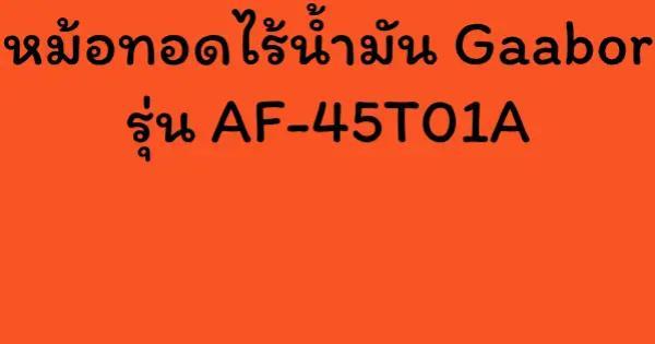 หม้อทอดไร้น้ำมัน Gaabor รุ่น AF-45T01A