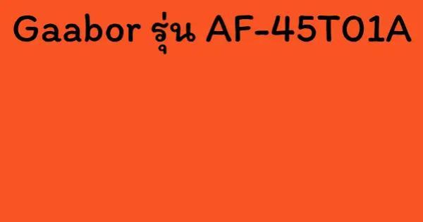 Gaabor รุ่น AF-45T01A