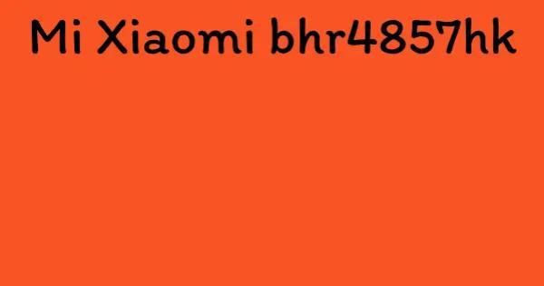 Mi Xiaomi bhr4857hk