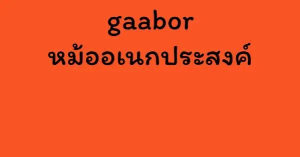 gaabor หม้ออเนกประสงค์