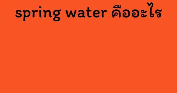 spring water คืออะไร