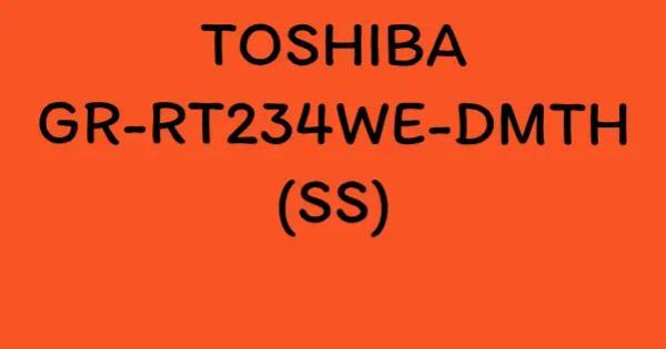 TOSHIBA GR-RT234WE-DMTH(SS)