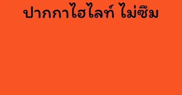 ปากกาไฮไลท์ ไม่ซึม