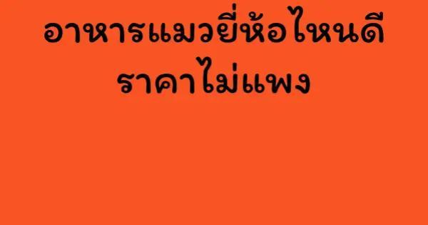 อาหารแมวยี่ห้อไหนดี ราคาไม่แพง
