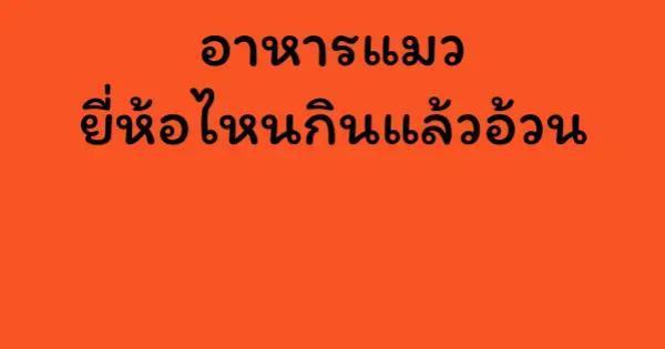 อาหารแมวยี่ห้อไหนกินแล้วอ้วน