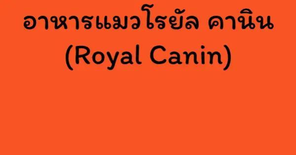 อาหารแมวโรยัล คานิน (Royal Canin)