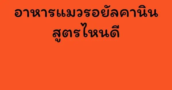 อาหารแมวรอยัลคานิน สูตรไหนดี