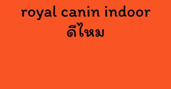 royal canin indoor ดีไหม