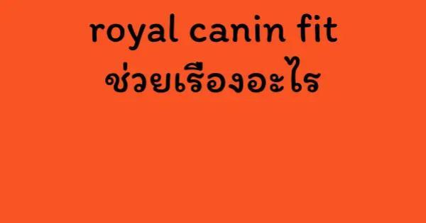 royal canin fit ช่วยเรื่องอะไร