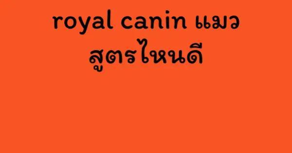 royal canin แมว สูตรไหนดี