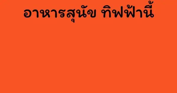 อาหารสุนัข ทิฟฟ้านี้