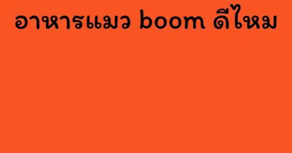 อาหารแมว boom ดีไหม