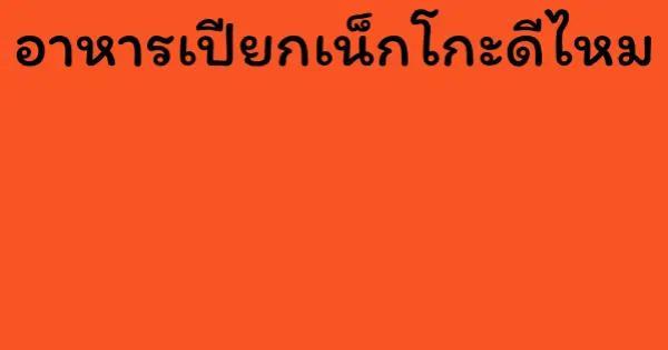 อาหารเปียกเน็กโกะดีไหม