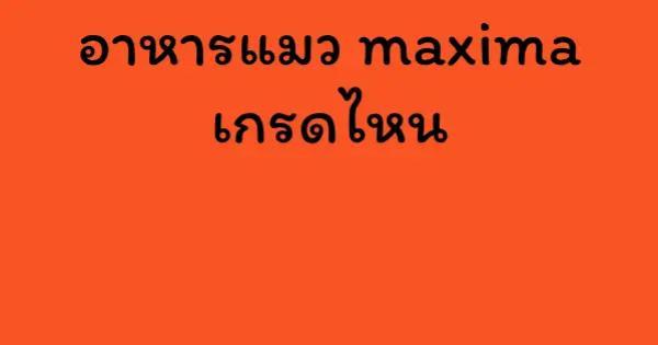 อาหารแมว maxima เกรดไหน