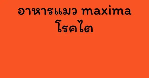 อาหารแมว maxima โรคไต