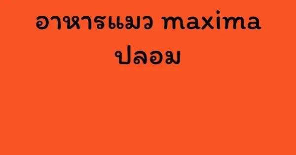 อาหารแมว maxima ปลอม