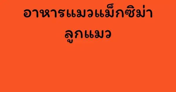 อาหารแมวแม็กซิม่า ลูกแมว