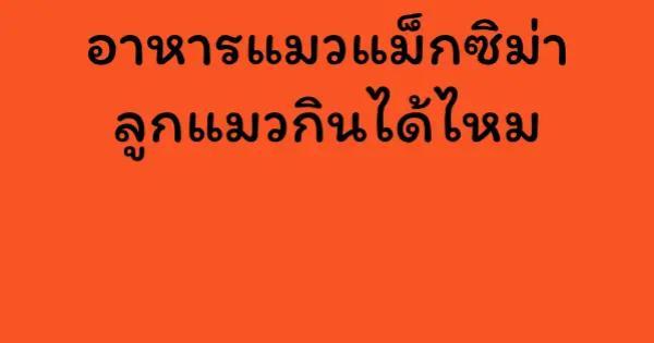 อาหารแมวแม็กซิม่า ลูกแมวกินได้ไหม