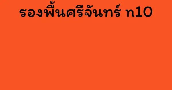 รองพื้นศรีจันทร์ n10