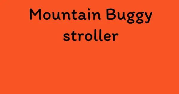 Mountain Buggy stroller
